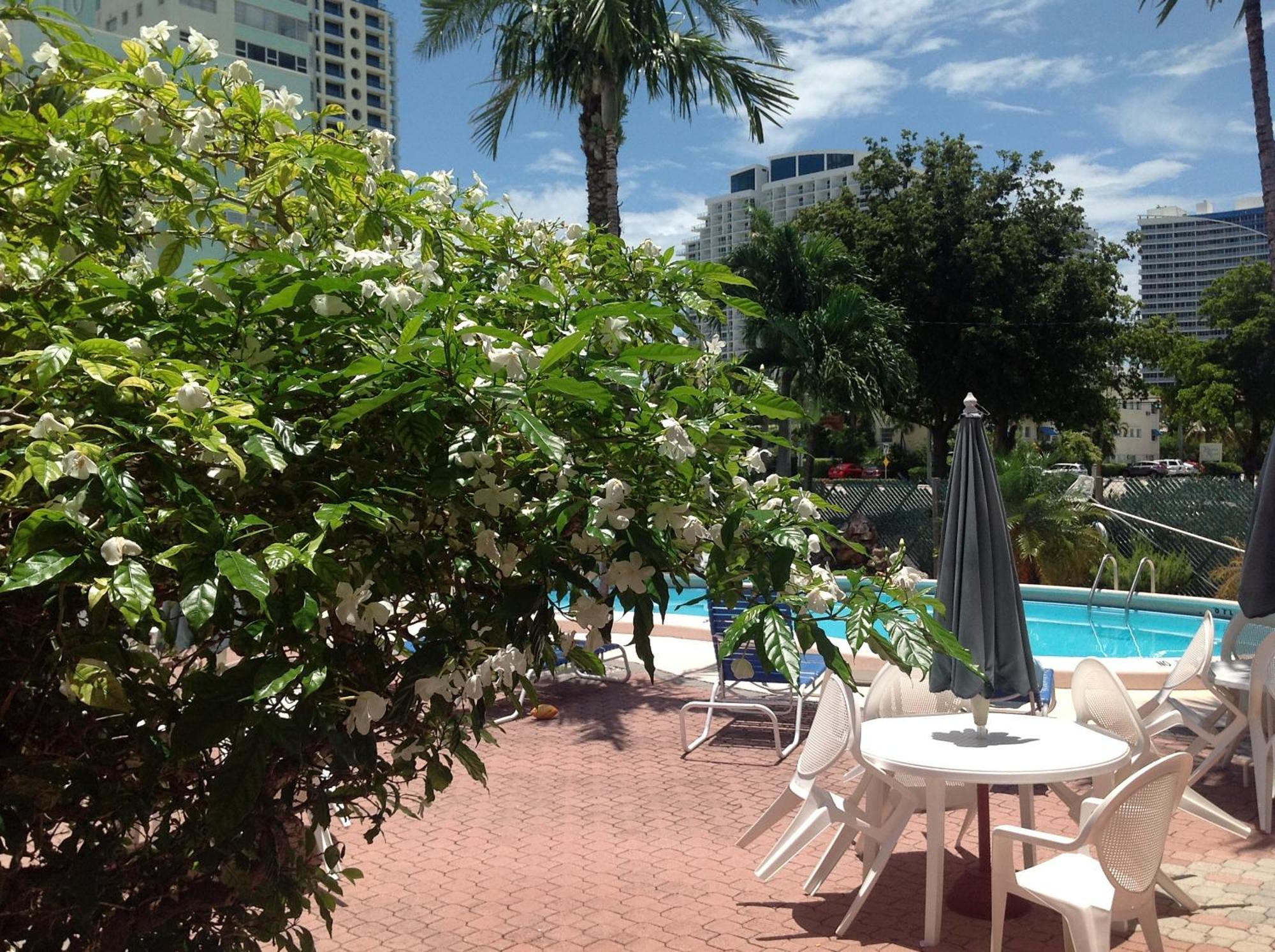 Birch Patio Motel Fort Lauderdale Buitenkant foto